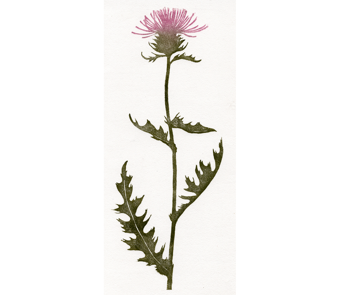 “Thistle” - Kristen Etmund